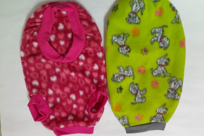Dachshund Dog Jacket